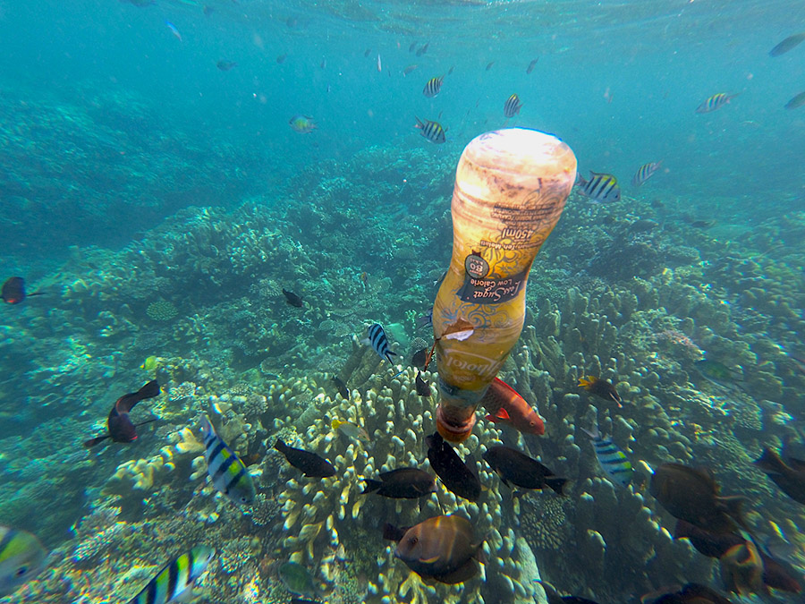 Terumbu Karang Terancam Terbunuh Akibat Sampah Plastik.teachermentors (4)